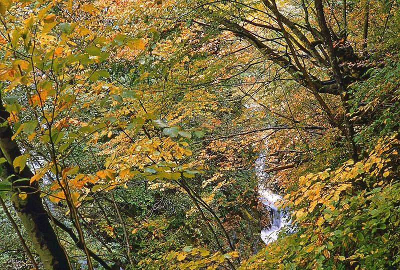 1952-53 Japan 210 Nikko.jpg